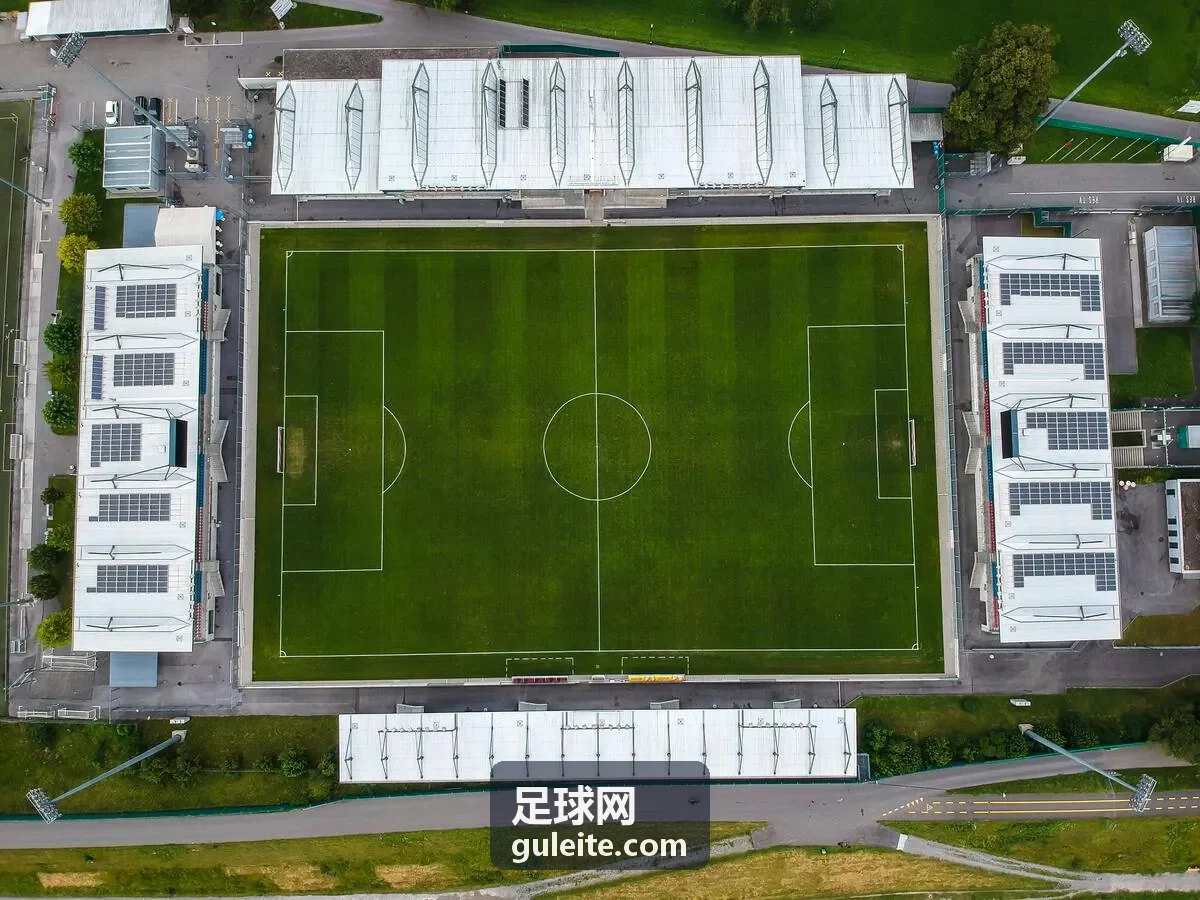 足球网 - 欧冠决赛直播画面